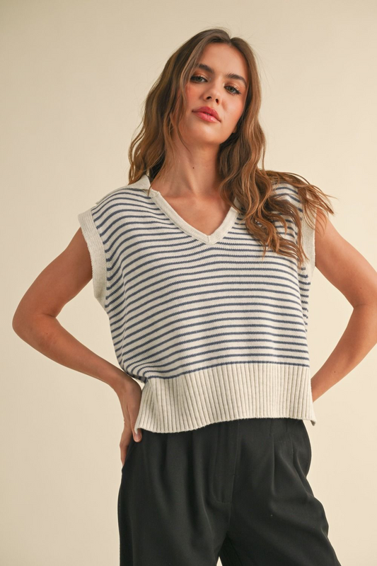 Blue Stripe Knit Top