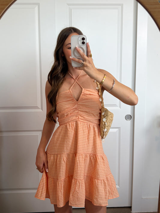 Apricot Dreams Gingham Dress